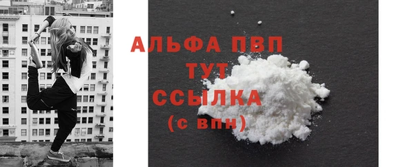 твердый Абаза