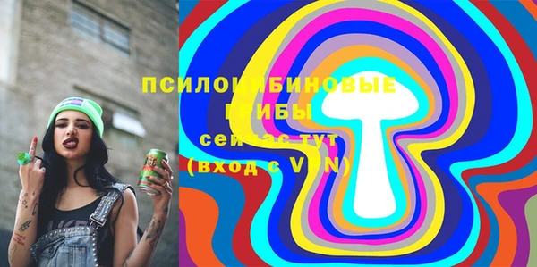 ECSTASY Алексеевка