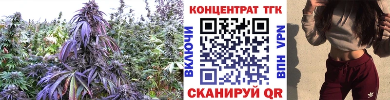Дистиллят ТГК THC oil Ялта