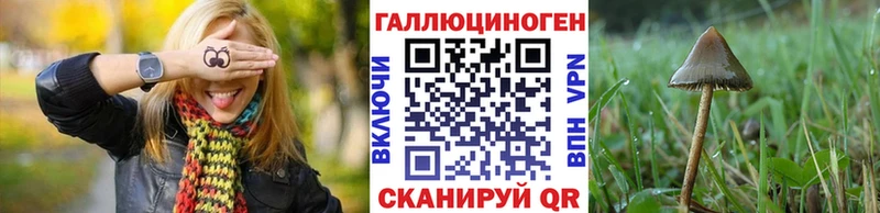 Псилоцибиновые грибы мухоморы  дарнет шоп  Ялта 