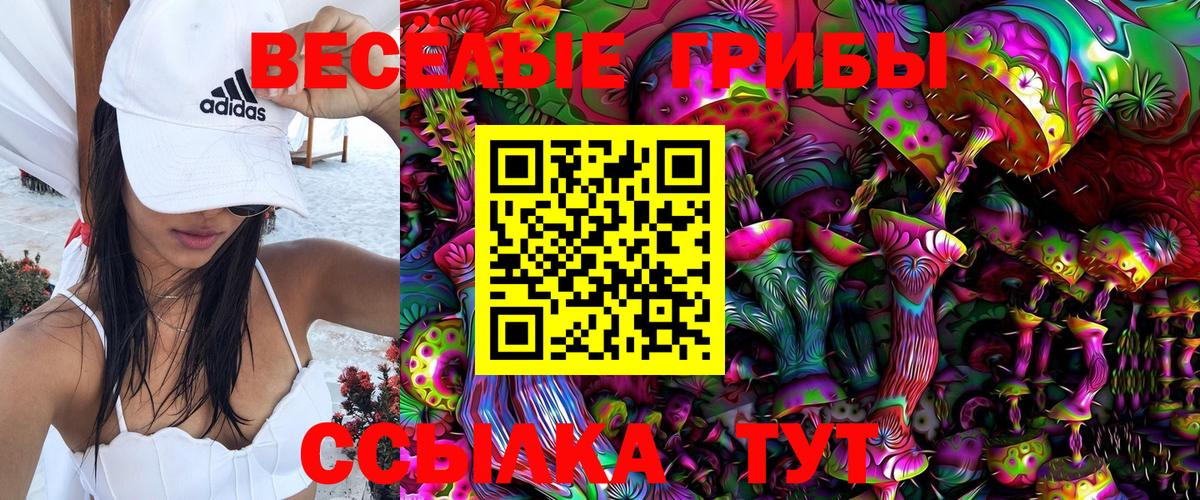 Галлюциногенные грибы прущие грибы  Галлюциногенные грибы прущие грибы  Ялта  Вход с VPN 