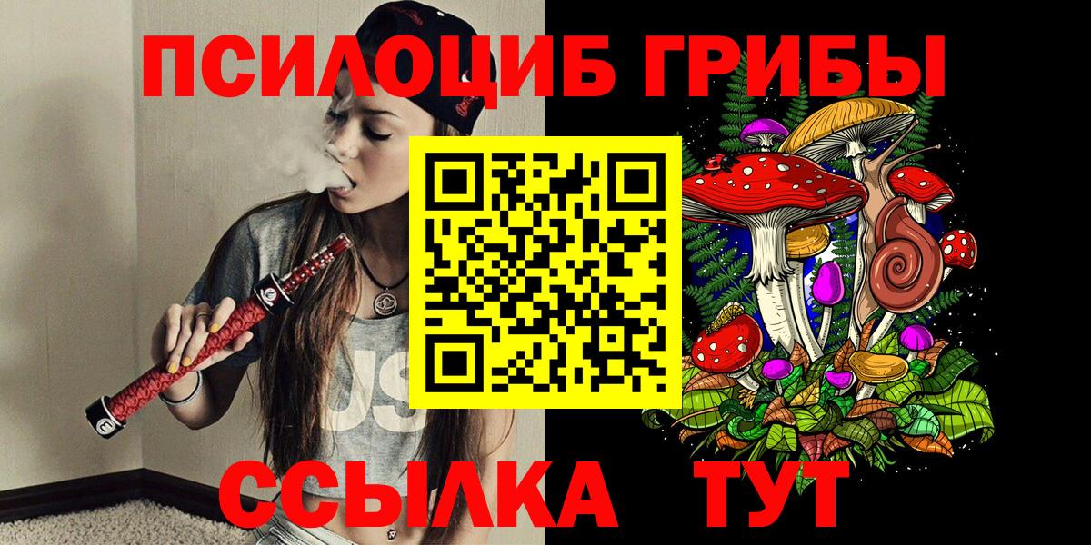 Псилоцибиновые грибы Psilocybine cubensis Ялта